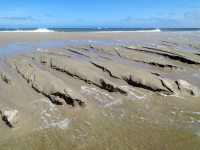 Priel